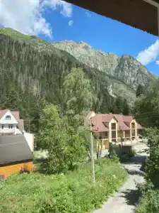 Старый Клен - 45