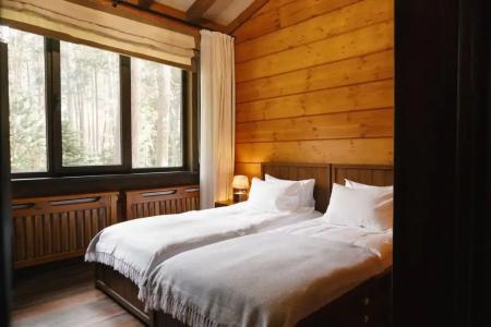 Ozon Village - 33