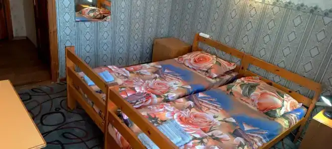 Фрише Нерунг - 50