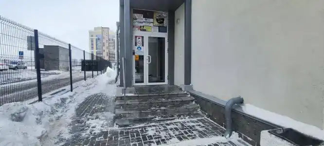 City Fox - 3