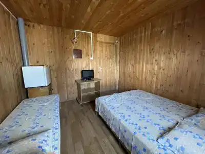 Аист - 98