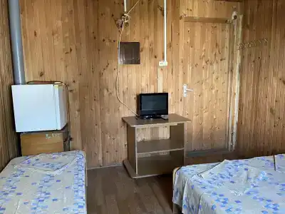 Аист - 99