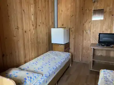Аист - 100