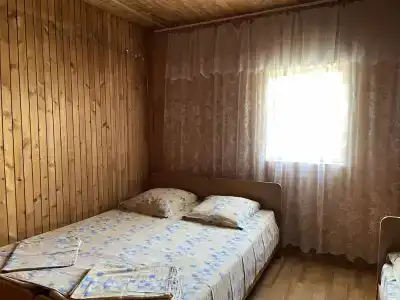 Аист - 101