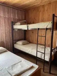 Аист - 106
