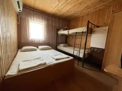 Аист - 110