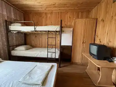 Аист - 111