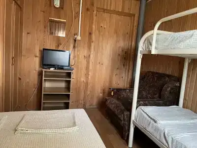 Аист - 116