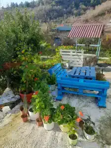 Колыба - 0
