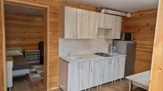Дом на берегу Катуни - 31