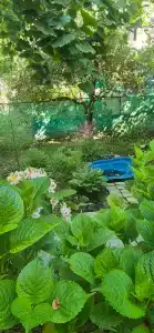 Морской бриз - 2
