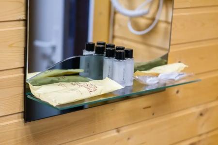 Северное Сияние - 110