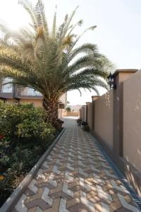 11 - 12