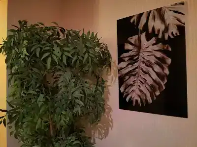 Апельсин - 3