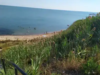 Шмидта 80 - 56