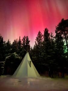 Глэмпинг Гиперборея - 107