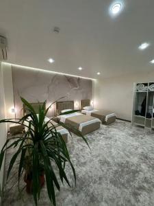 Гранд Плаза - 44