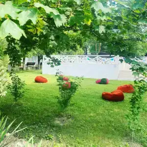 Ивушка - 2