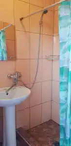 Пальма - 62