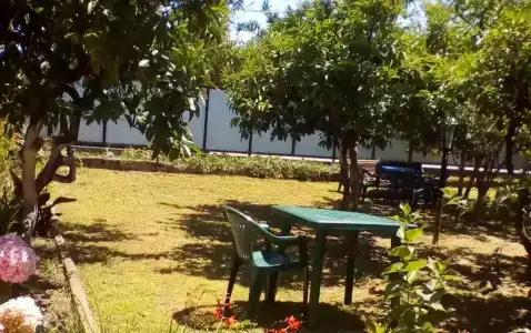 Бриз - 4