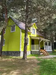 Ардус - 6