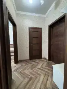 Melissa Premium - 20