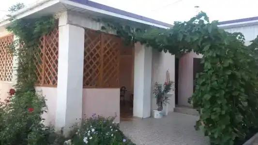 Pink House - 2