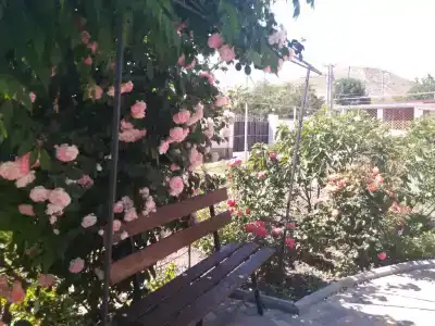 Pink House - 6