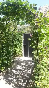 Pink House - 8