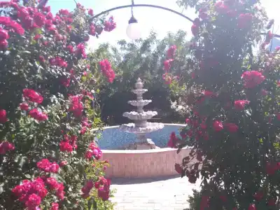 Pink House - 10