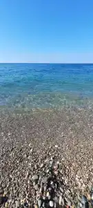 Морская звезда - 6