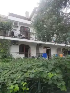 Эвкалипт - 2