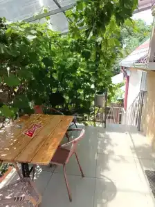 Зелёный дворик - 0