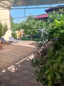 Зелёный дворик - 4
