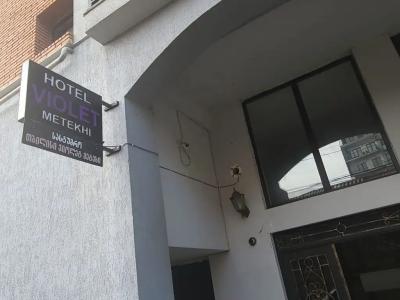 Tbilisi Violet Metekhi - 43