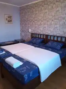 Кипарис - 4