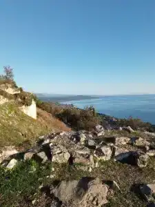 Кипарис - 7