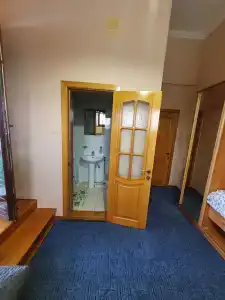 Туя - 63