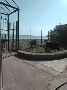 Агава Плюс - 0