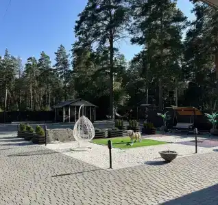 Сосновый бор - 6