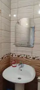 Тюльпан - 27
