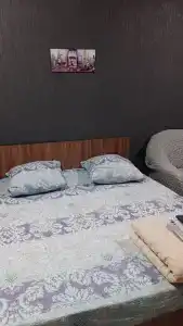 Тюльпан - 25