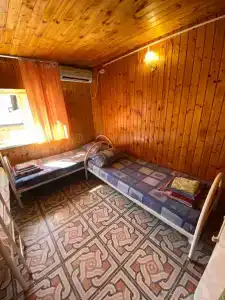 Альдаир - 206