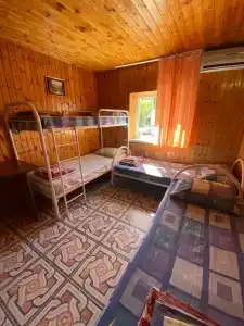 Альдаир - 208