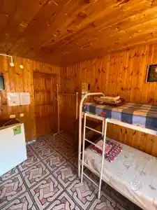 Альдаир - 207