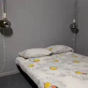 Мантис - 101