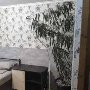 Мантис - 103
