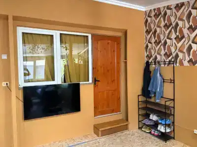 Мантис - 113