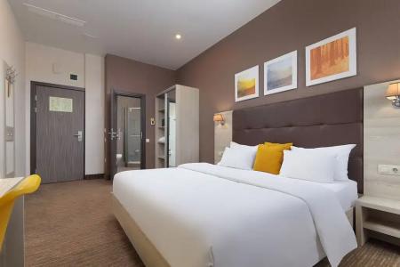 Golden Tulip - 24