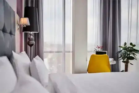 Golden Tulip - 53